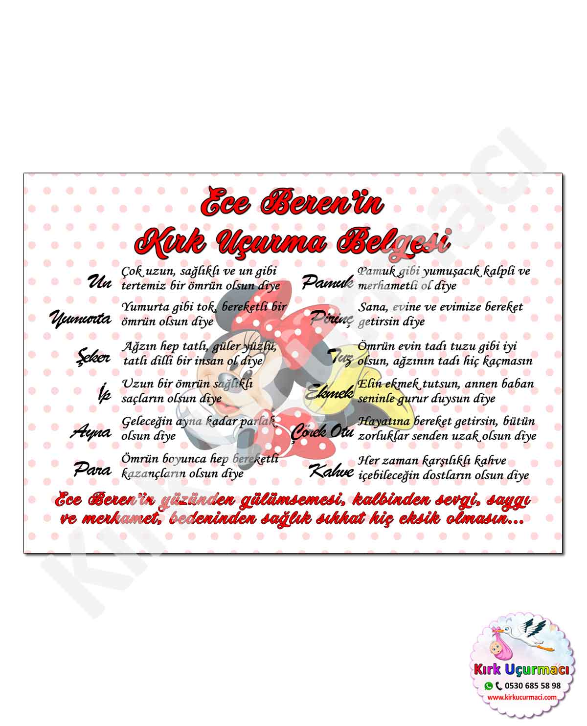 Minnie 2 - Kırk Uçurma Belgesi